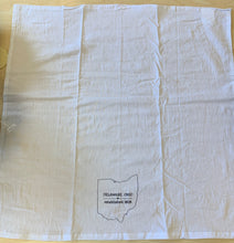 Load image into Gallery viewer, Delaware Ohio Tea Towel
