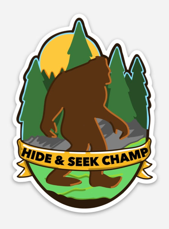 Hide & Seek Champ