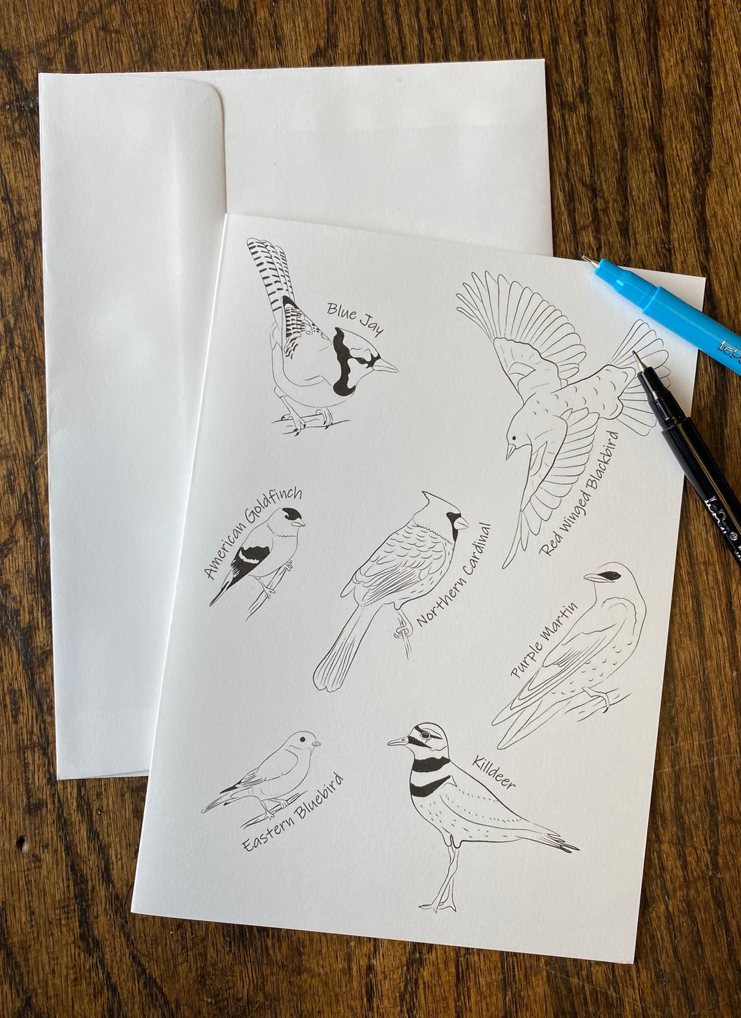 Bird Types Coloring Card