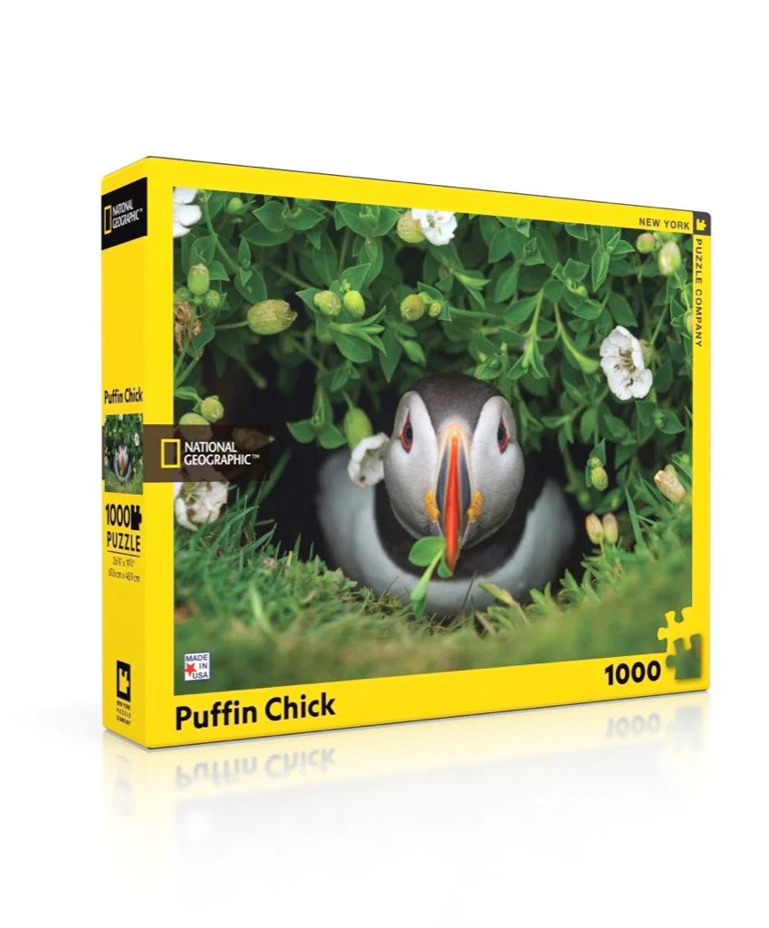 Puffin Chick Puzzle - 1000pc